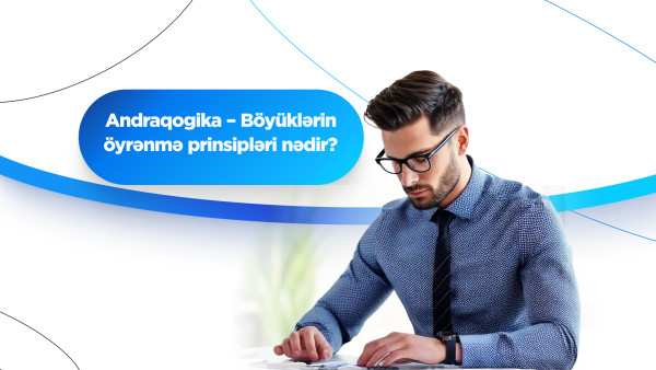 Andraqogika – Böyüklərin öyrənmə prinsipləri nədir?